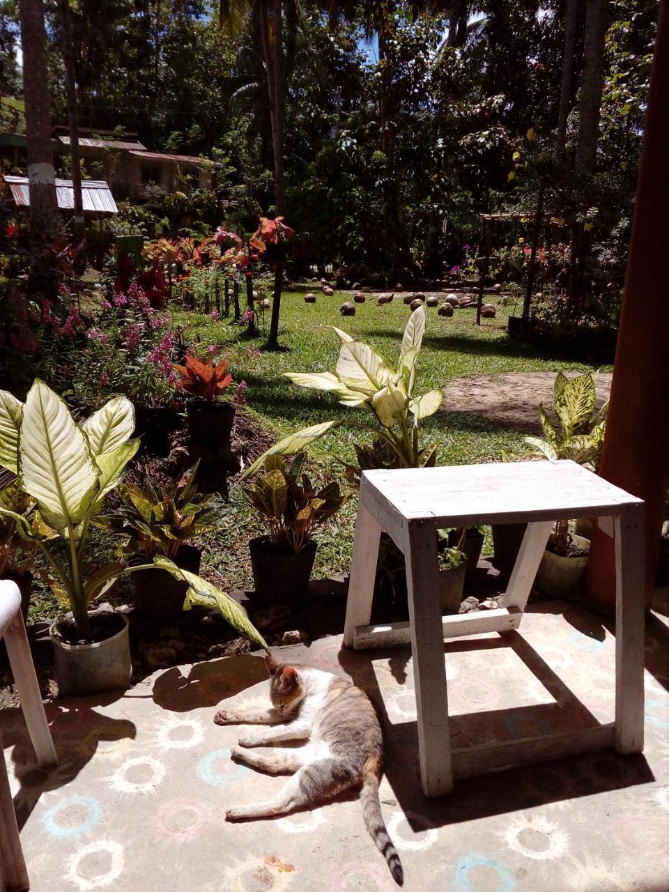 Batuan 巴图安吊床旅舍旅舍 外观 照片