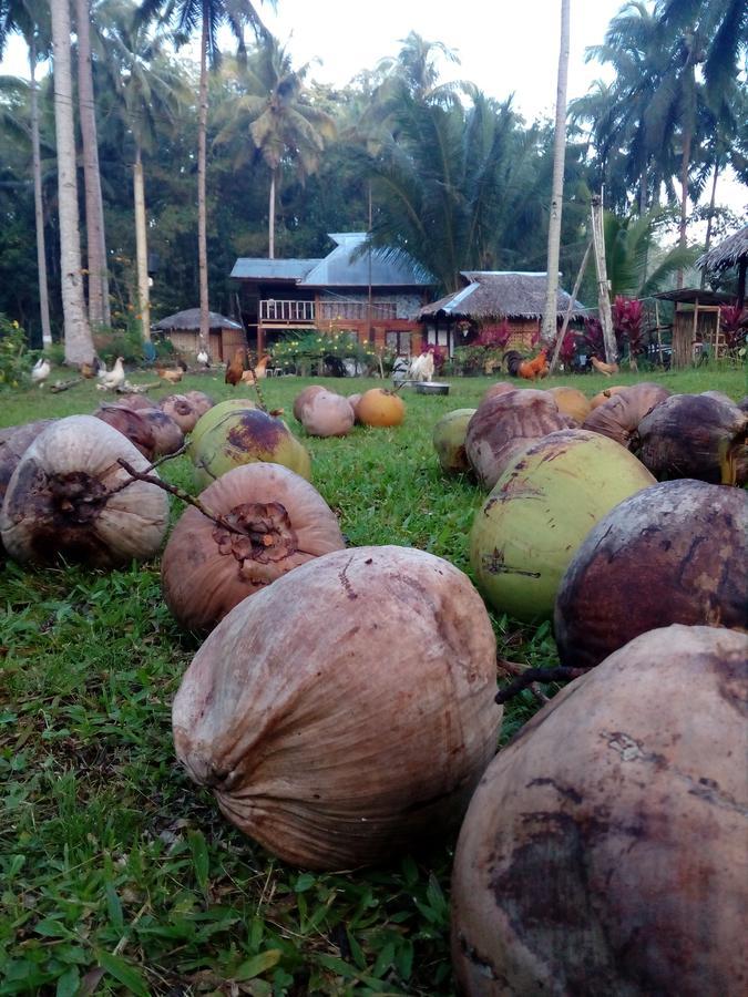 Batuan 巴图安吊床旅舍旅舍 外观 照片