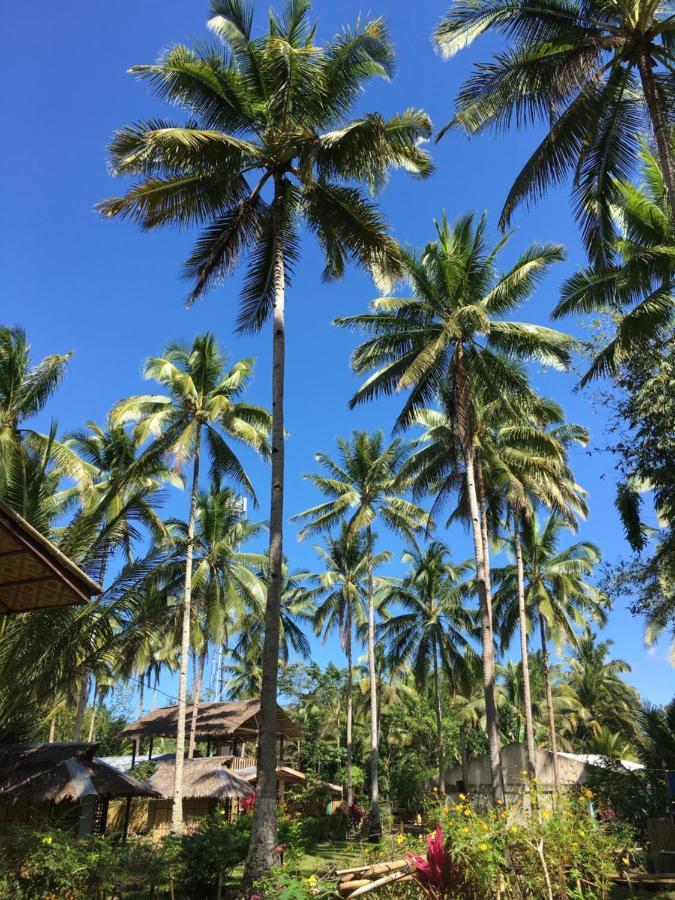 Batuan 巴图安吊床旅舍旅舍 外观 照片